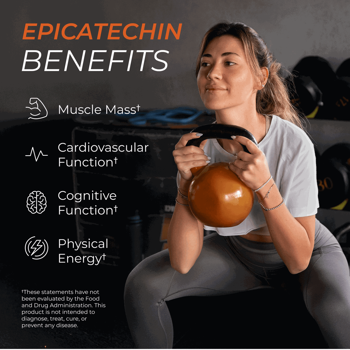 Supplement Fitness Nutrition Muscle Support Formula
