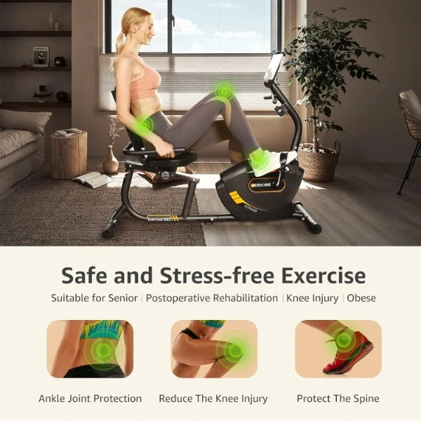 Recumbent Exercise Bike Magnetic Indoor Cycling Home Fitness