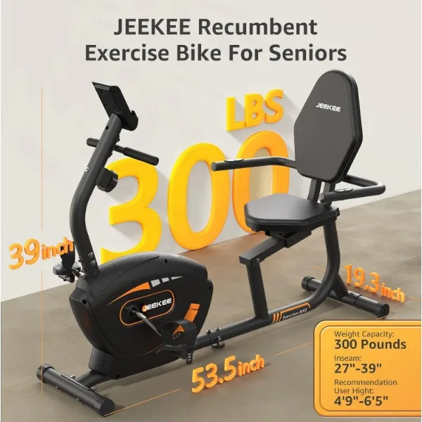Recumbent Exercise Bike Magnetic Indoor Cycling Home Fitness