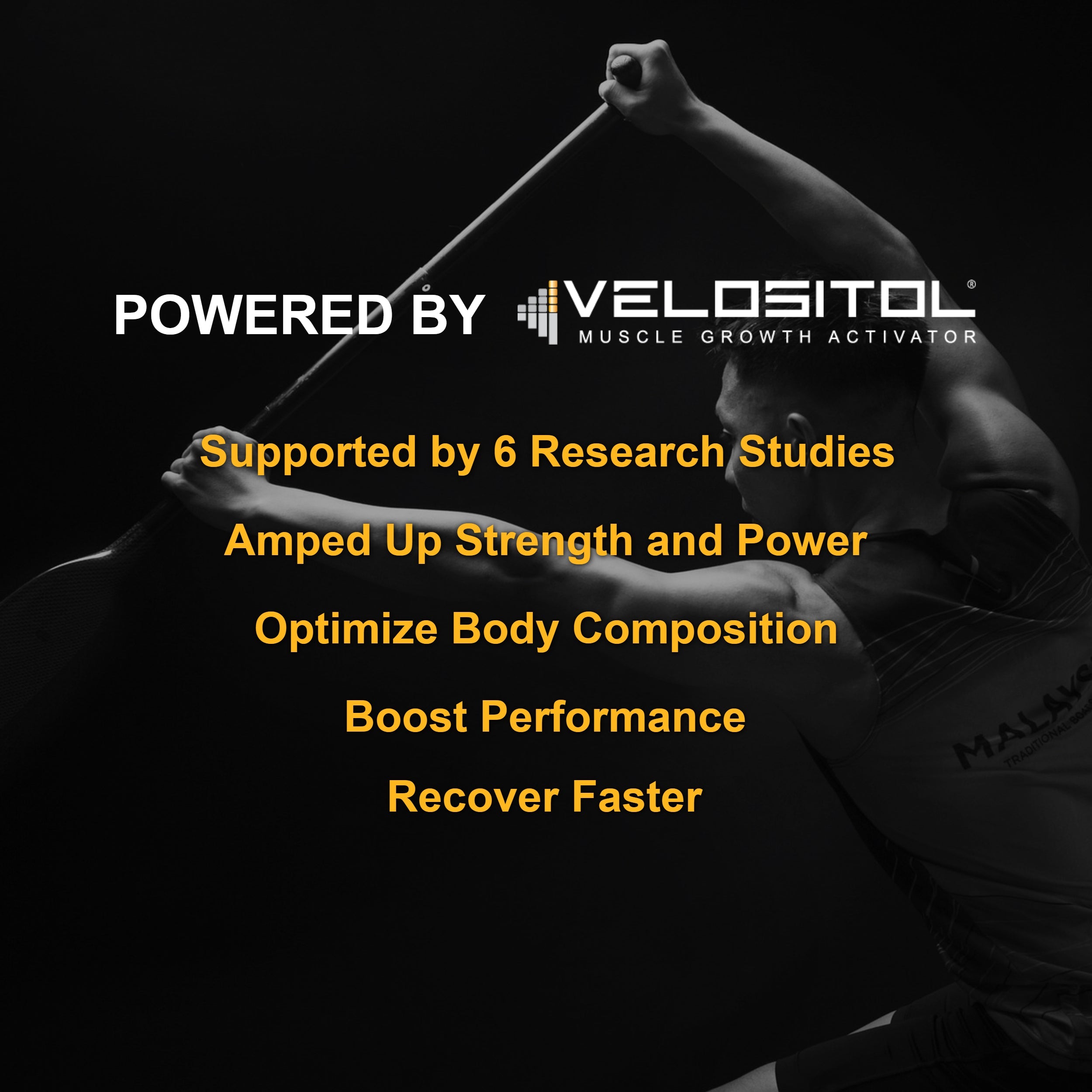 Plant Based Sport Protein Fitness Nutrition Supplement