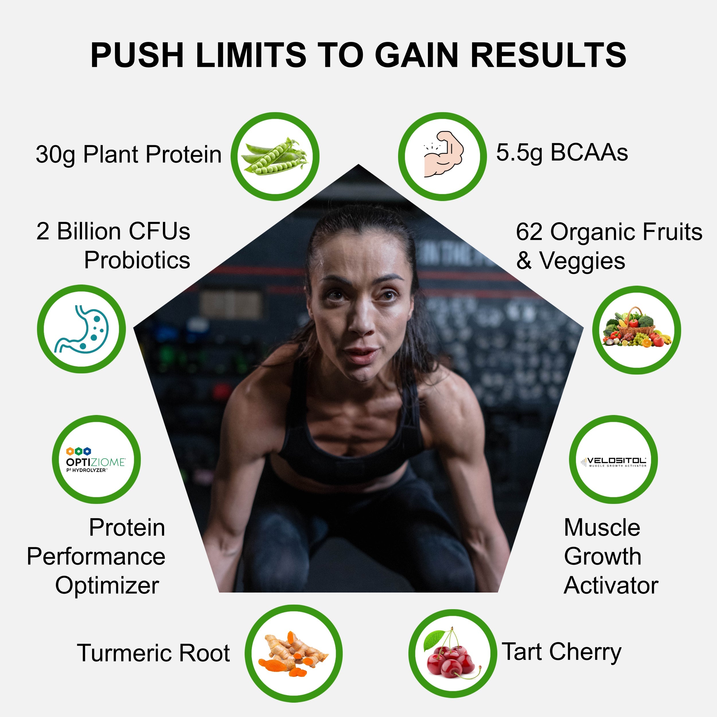 Plant Based Sport Protein Fitness Nutrition Supplement